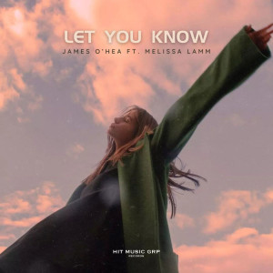 收聽James O'Hea的Let You Know歌詞歌曲