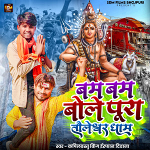 Listen to Bam Bam Bole Pura Tauleswar Dham song with lyrics from Irfan Deewana