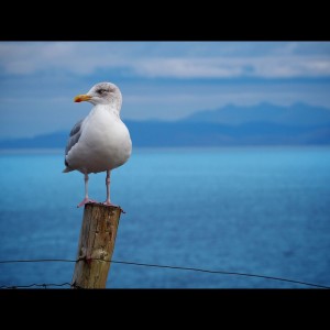 Listen to Rain Flows song with lyrics from Rain Sounds