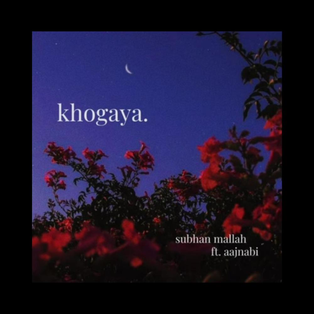 Khogaya (feat. Aajnabi)