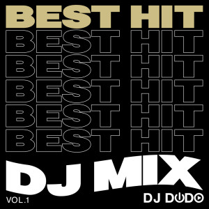 Listen to One Kiss (Cover) (Explicit) song with lyrics from DJ MIX PROJECT