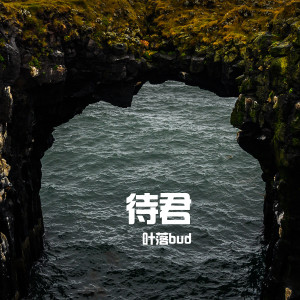Listen to 待君 (伴奏) song with lyrics from 叶落bud