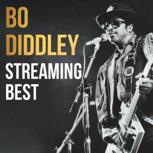 Dengarkan Pretty Thing lagu dari Bo Diddley dengan lirik