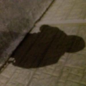Listen to Shadows song with lyrics from Heavens Well