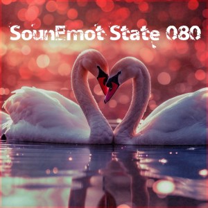 Various Artists的專輯Sounemot State 080
