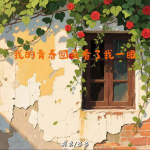 Listen to 我的青春回头看了我一眼 song with lyrics from 庞龚