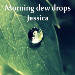 Morning dew drops