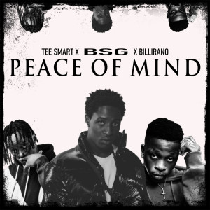 BSG的专辑Peace of Mind (Explicit)