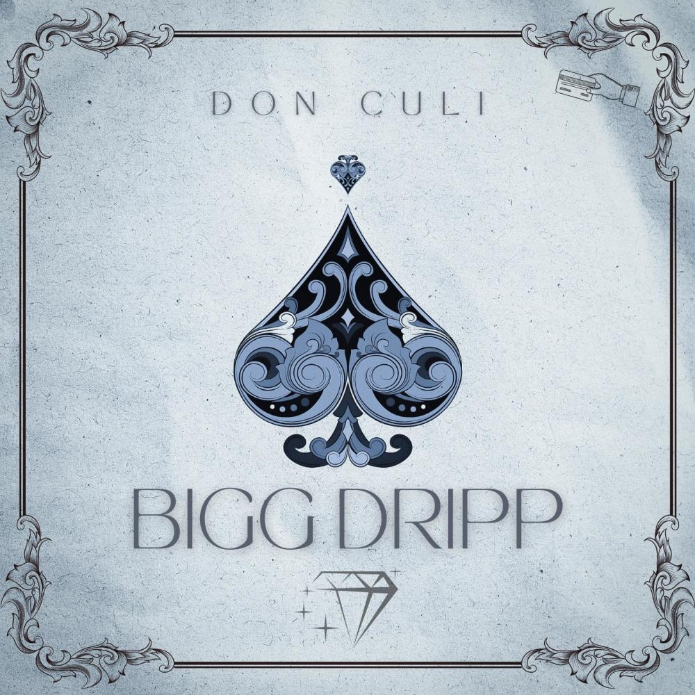 Bigg Dripp (feat. Melly Freshh) (Explicit)