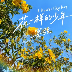 Album 花一样的少年 from 宴弦