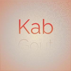 Various的专辑Kab Gout
