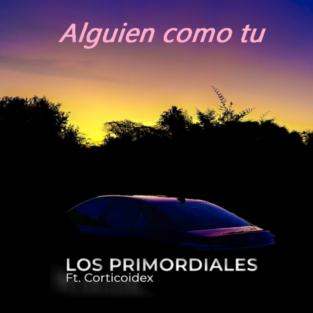 Alguien Como Tu