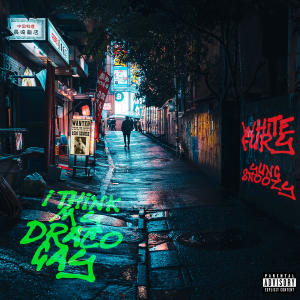 White Fury的專輯I Think My Draco Gay (feat. Yung Snoozy) (Explicit)