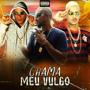 Brisa081的專輯Chama Meu Vulgo (Explicit)
