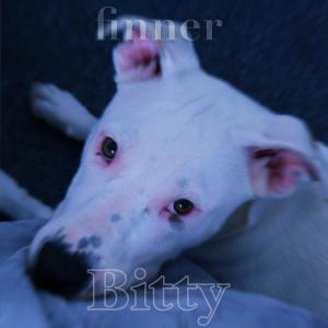 Finner的專輯Bitty