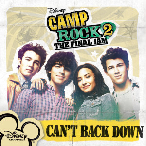ดาวน์โหลดและฟังเพลง What We Came Here For (From "Camp Rock 2: The Final Jam") พร้อมเนื้อเพลงจาก Demi Lovato