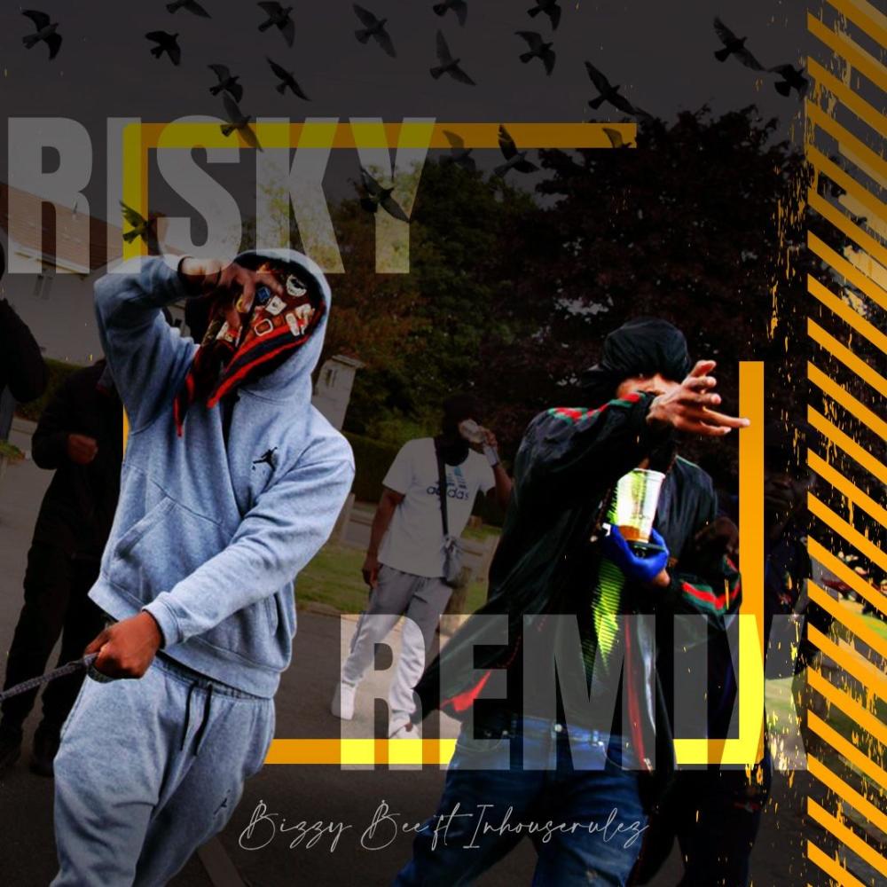 Risky (feat. INHOUSERULEZ) (Explicit)