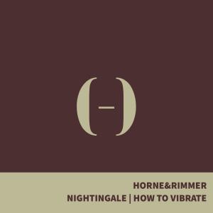 Listen to How To Vibrate song with lyrics from HORNE&RIMMER
