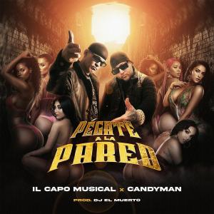 ดาวน์โหลดและฟังเพลง Pégate a la Pared (feat. Candyman) (Explicit) พร้อมเนื้อเพลงจาก il capo musical