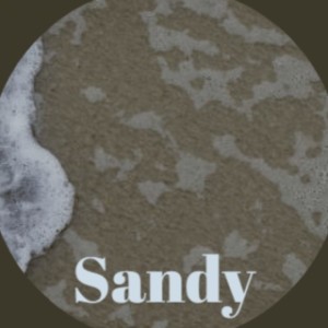 收聽Sandy Nelson的Sandy歌詞歌曲