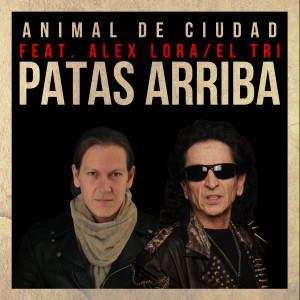 收聽Animal de Ciudad的Patas Arriba歌詞歌曲