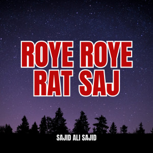 Listen to Washrey Chadye Tuhnje Marzi song with lyrics from Sajid Ali Sajid