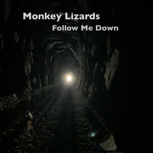 收听Monkey Lizards的Follow Me Down歌词歌曲