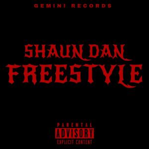 GEMINI RECORDS的專輯FreeStyle (feat. Shaun Dan) [Explicit]