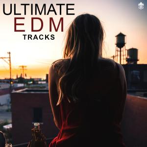 Album Ultimate EDM Tracks oleh SAG