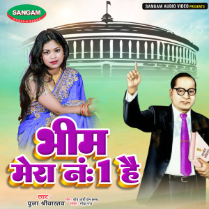 Album Bheem Mera No 1 Hai from 