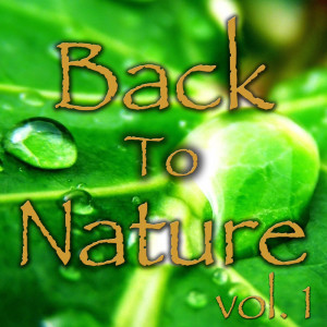 Listen to Bird song with lyrics from Spirit