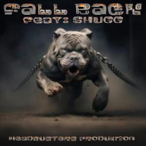 收聽HighStakes的Fall Back (feat. Shugg) (Explicit)歌詞歌曲