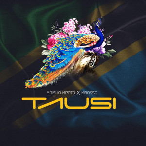 Album Tausi from Mbosso