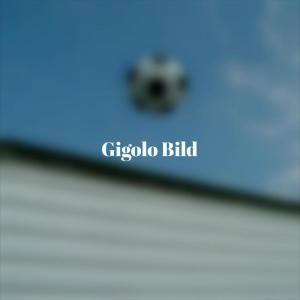 Various的专辑Gigolo Bild