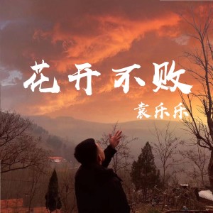 收聽袁樂樂的花開不敗歌詞歌曲