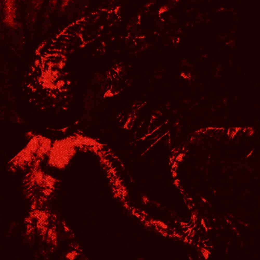 greed II (Explicit)