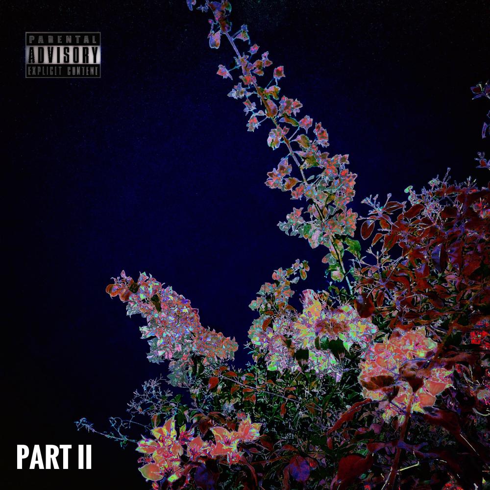 Revenge (bonus track) (Explicit)