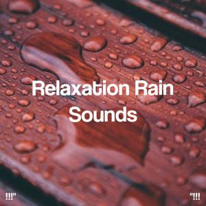Rain Sounds的專輯!!!" Relaxation Rain Sounds "!!!