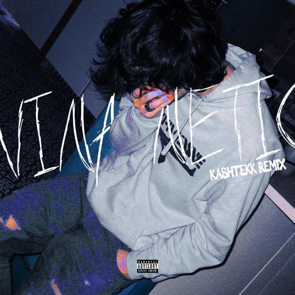 VINA NETIC (kashtekk Remix|Explicit)