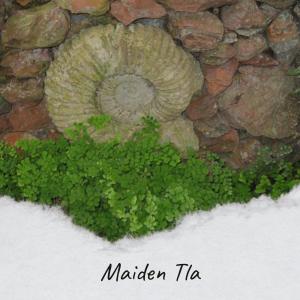 收听Charled的Putting During歌词歌曲