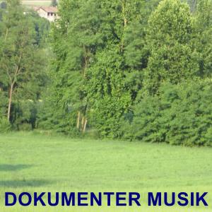 收聽Roberto Panduan的Dokumenter Musik歌詞歌曲
