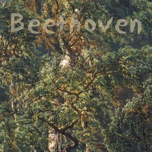 收聽Kristin Fossheim的Beethoven cello sonata, op 69, II. Scherzo歌詞歌曲