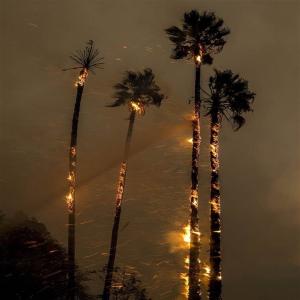 收听Freddie & The Dreamers的Here, Now歌词歌曲