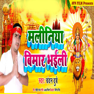Listen to Kaise Ke Kari Toharo Bidai song with lyrics from Chandan Dubey