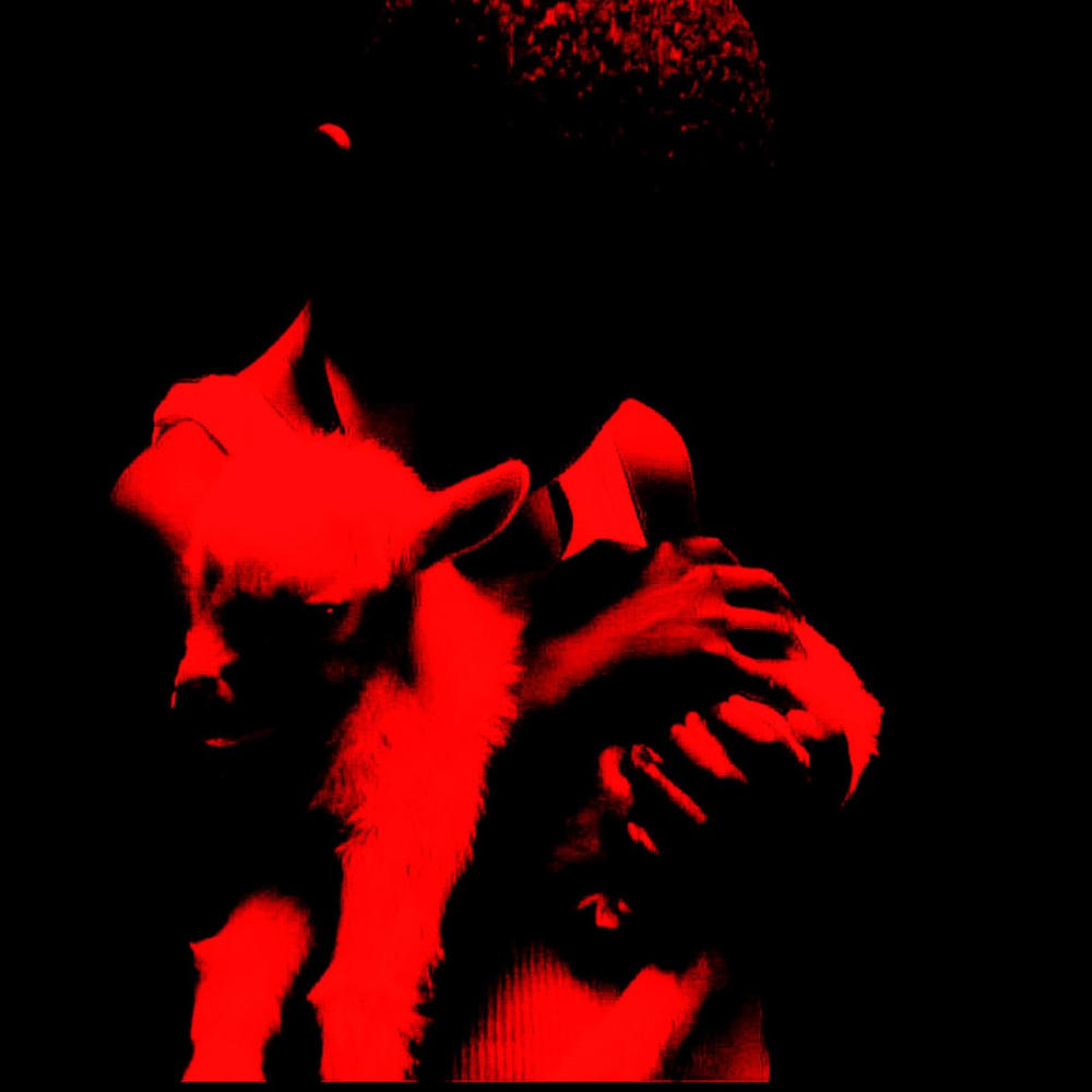 Denim Tears (feat. 2Sdxrt3all & Whyceg) (Explicit)