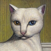 default album img