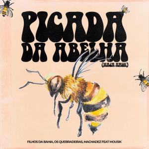 Os Quebradeiras的专辑Picada da Abelha (Haja Amor)