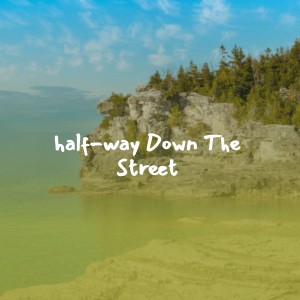 Various Artists的專輯Half-Way Down the Street