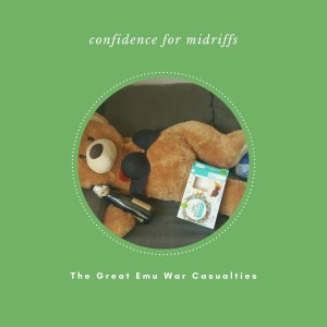 收聽The Great Emu War Casualties的Confidence for Midriffs歌詞歌曲
