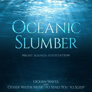 Dengarkan Rhythmic Waves lagu dari Night Sounds Association dengan lirik